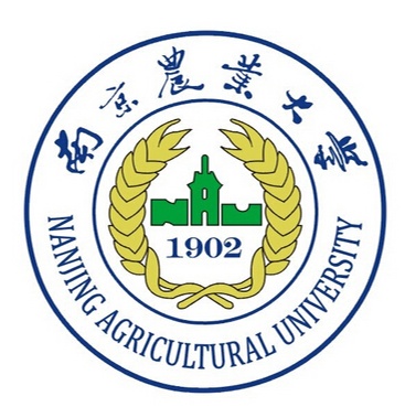 主图片